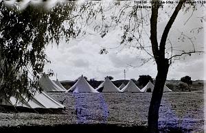 TUNISIE 1939  66 EME  REGIMENT D ARTILLERIE (29)